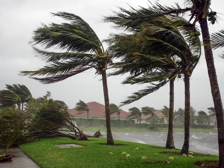 hurricane insurance claim